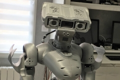 Le robot Maya